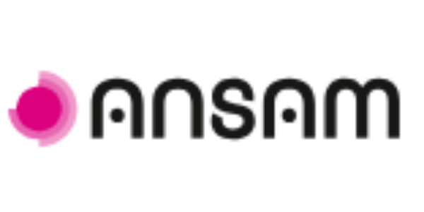 cs-logo-cards-600x300px-groupe-ansam