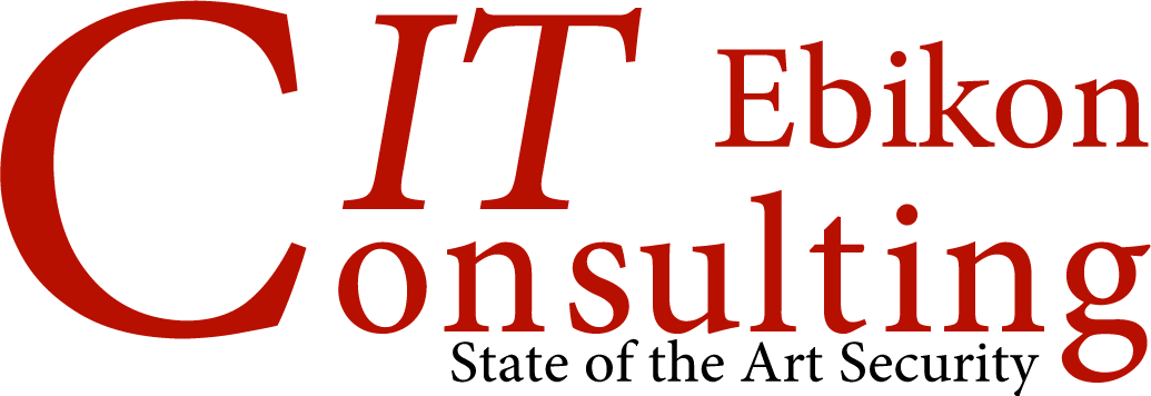 IT-Consulting Ebikon